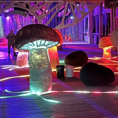 Serene Shrooms